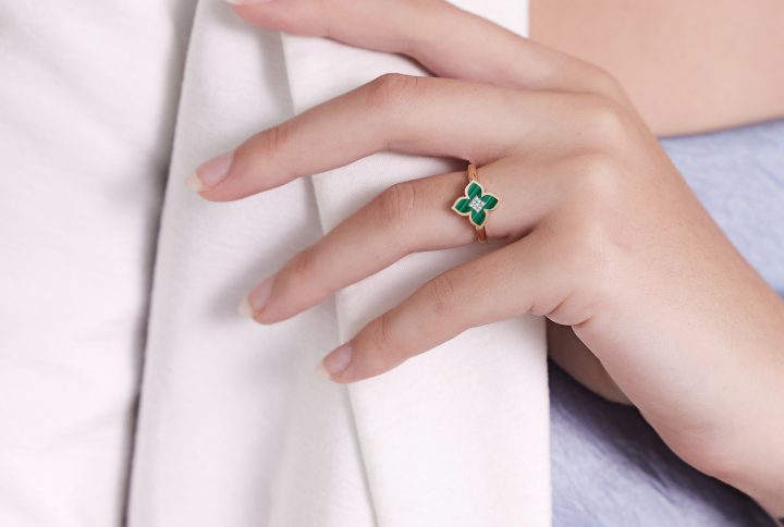 Lotus Bloom Collection